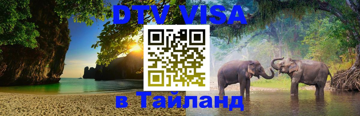 Сколько стоит DTV виза — актуальные цены, оформление даже без документов - 